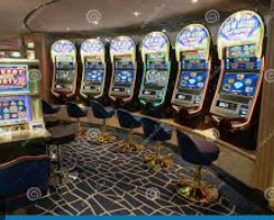 ledong网页版入口2024最新版