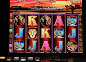 ledong网页版入口免费版