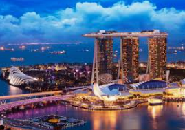 ledong网页版入口免费版