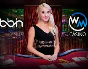 ledong网页版入口免费版